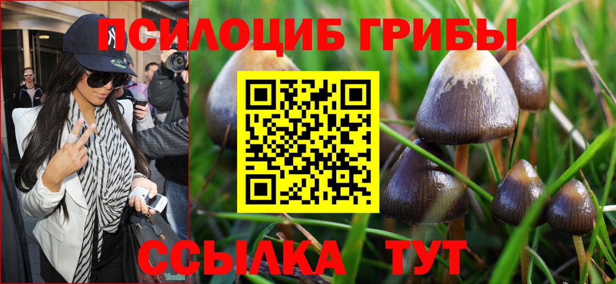 Алушта  Галлюциногенные грибы мицелий  Вход с VPN 